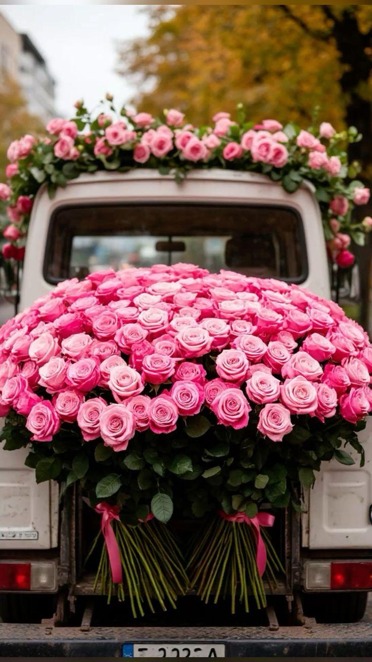 Harmony Hues of Blossom Serenade
