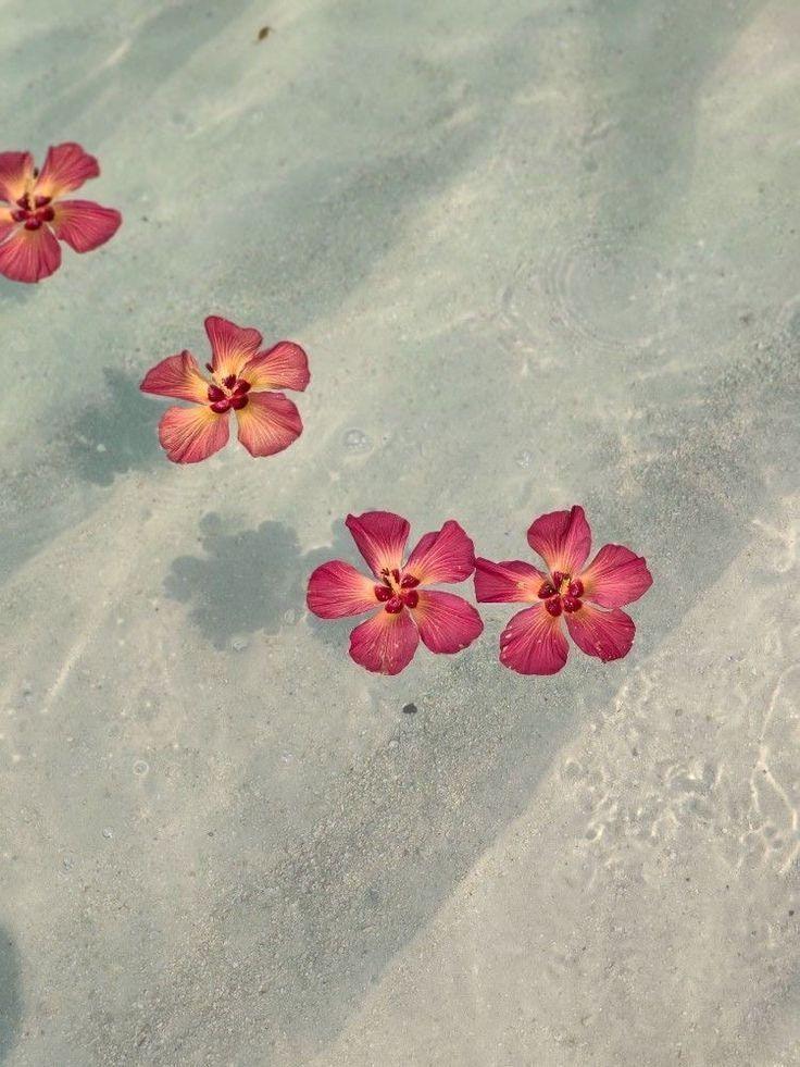Whimsical Whispers of Spring Blooms